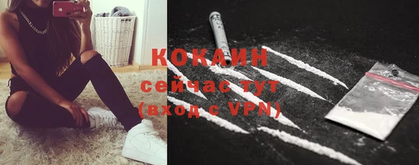 PSILOCYBIN Осташков
