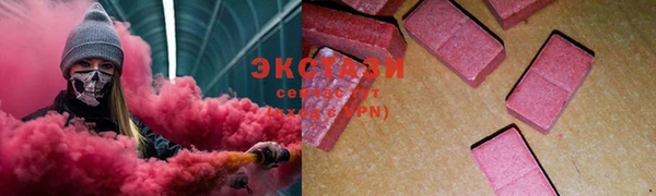 хмурый Алексин