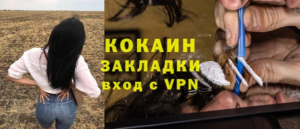 PSILOCYBIN Алексеевка