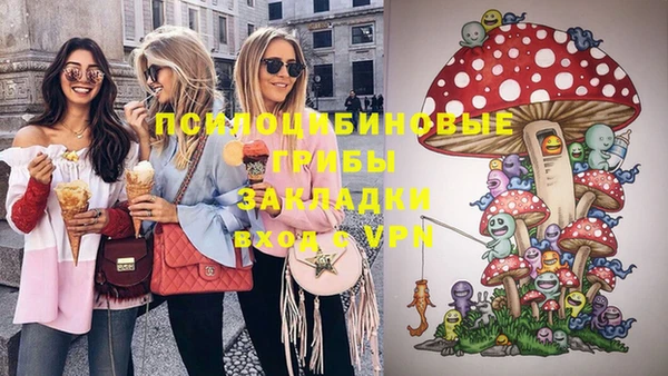 ПСИЛОЦИБИНОВЫЕ ГРИБЫ Алзамай
