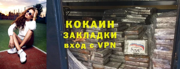 хмурый Алексин