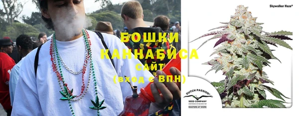 ПСИЛОЦИБИНОВЫЕ ГРИБЫ Алзамай