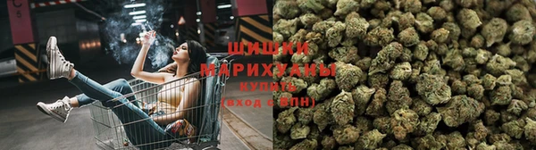 ПСИЛОЦИБИНОВЫЕ ГРИБЫ Алзамай